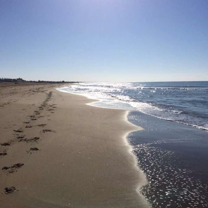 Tula 4 - Appartamento vista mare Passoscuro Esterno foto